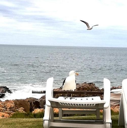 Beacon Island Resort Plettenberg Bay Dış mekan fotoğraf